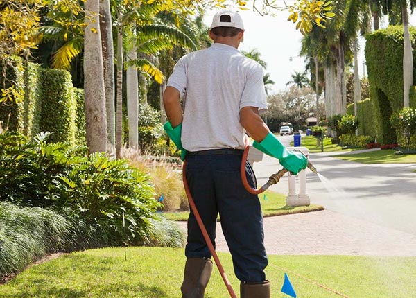 About Port Murray NJ Pest Control Pros